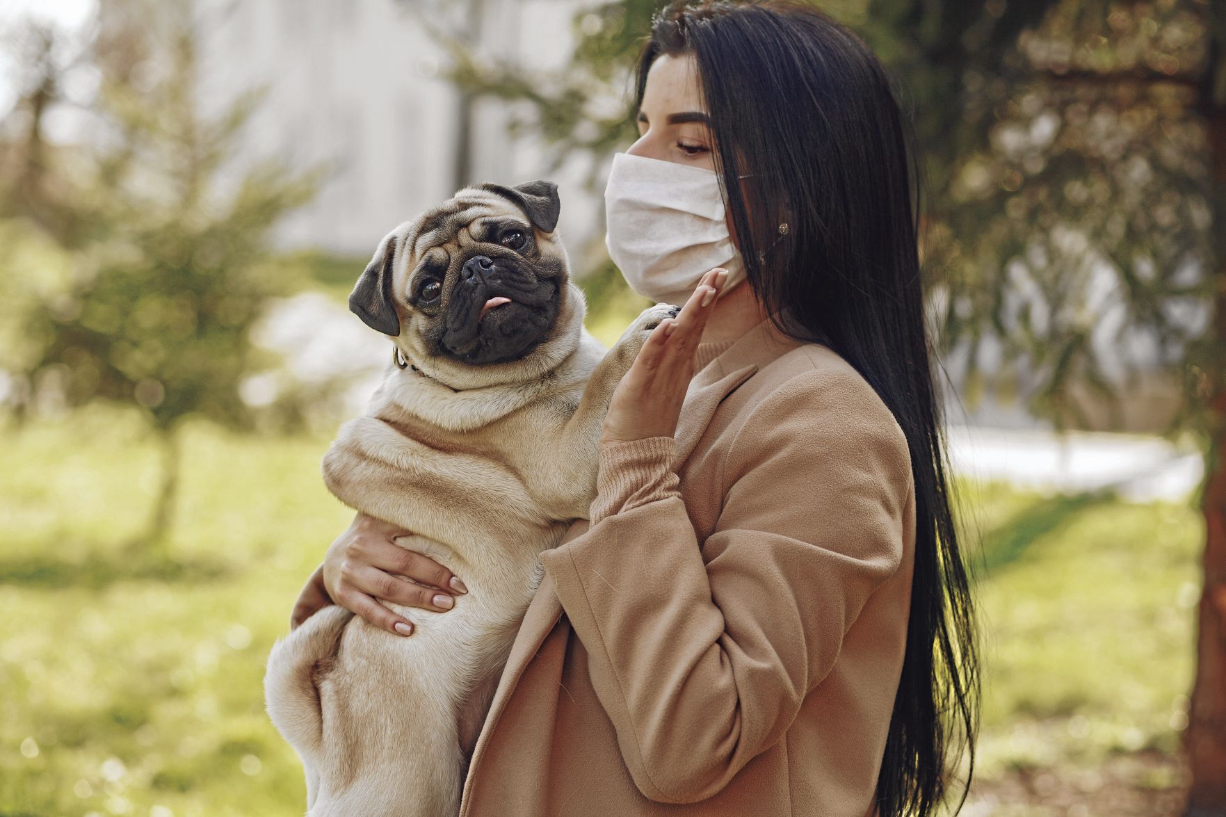 woman-in-brown-coat-holding-fawn-pug-4148825_CMYK.jpg